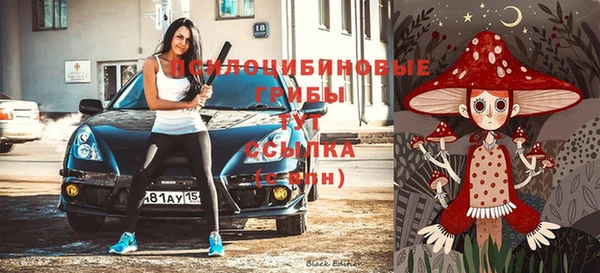 крисы Рославль