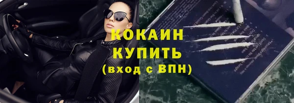 ECSTASY Горняк