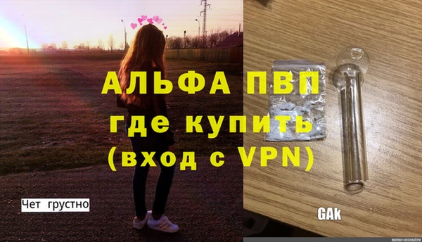ECSTASY Горняк