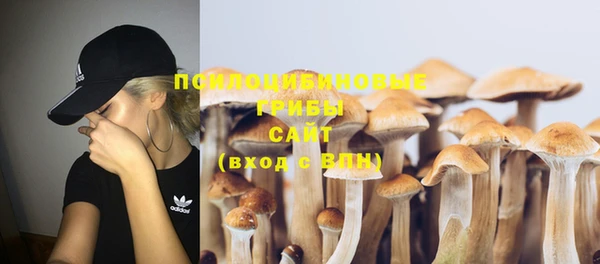 молекула духа Горнозаводск