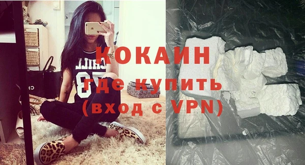 ECSTASY Горняк
