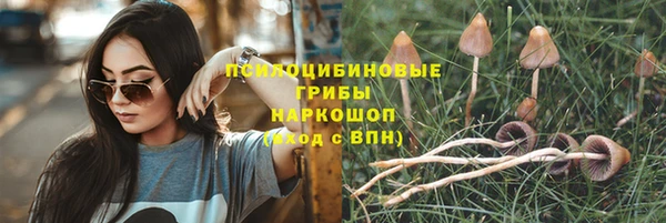 молекула духа Горнозаводск