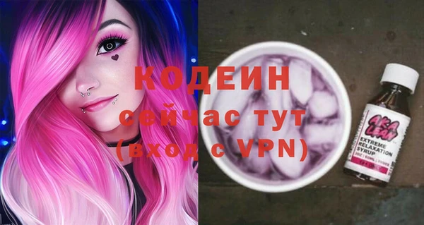 ECSTASY Горняк