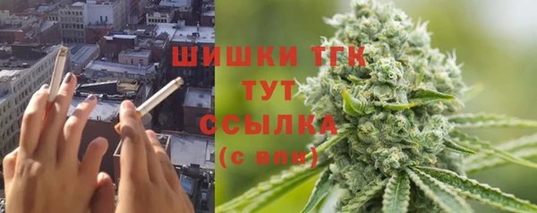 ECSTASY Горняк