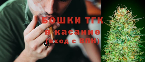 молекула духа Горнозаводск