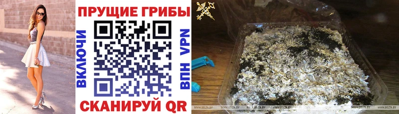 цена наркотик  Переславль-Залесский  mega ссылка  Галлюциногенные грибы GOLDEN TEACHER 